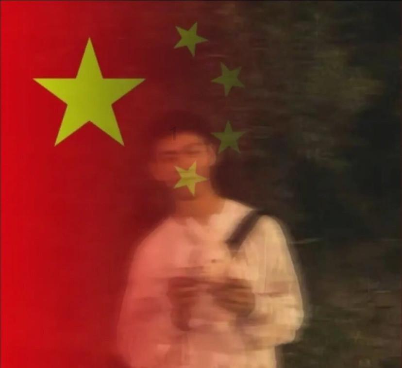 狗狗物品记忆卡